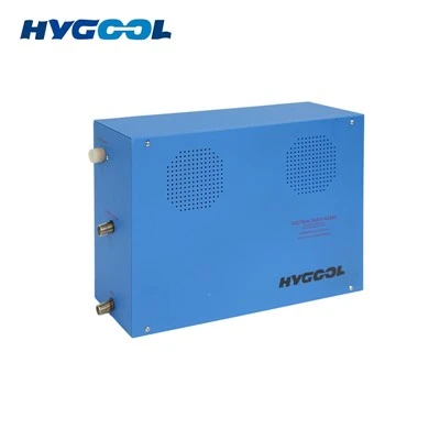 Tragbarer Dampfgenerator